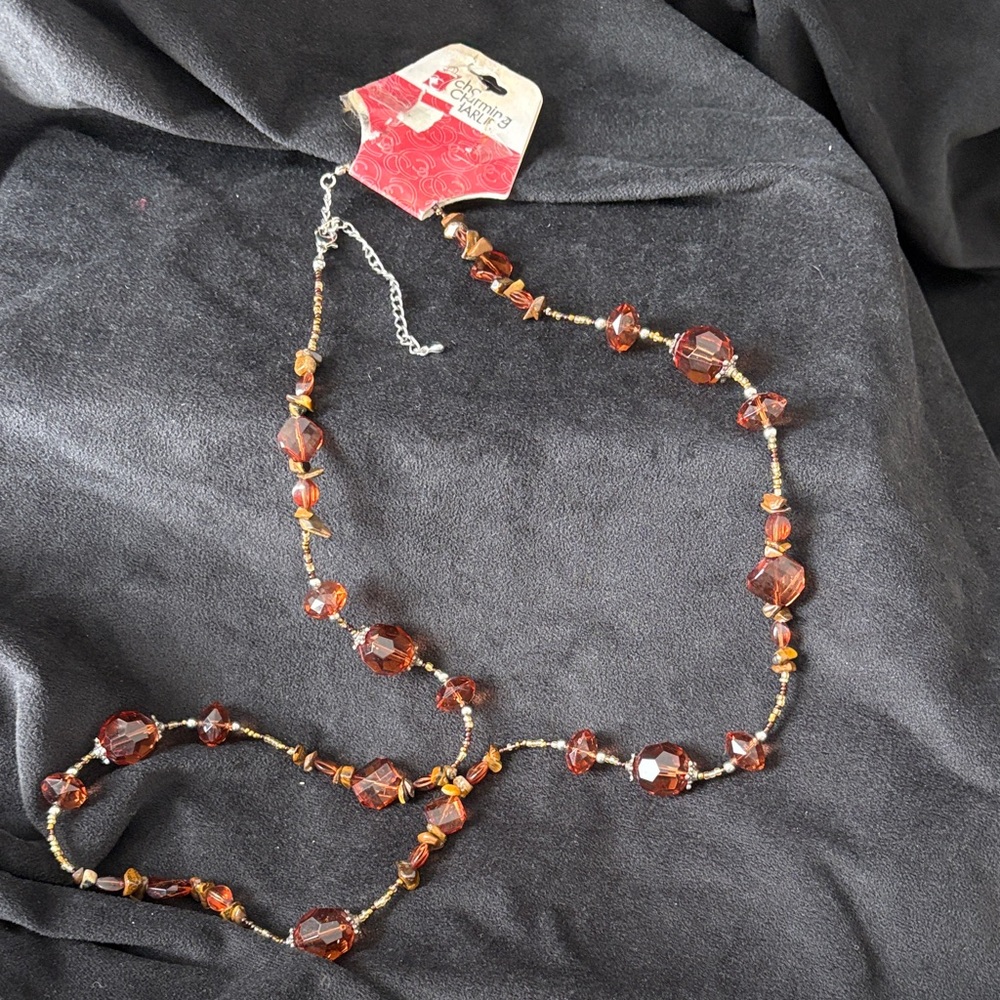 Charming Charlie Elegant Brown Beaded Necklace - Picture 2 of 8